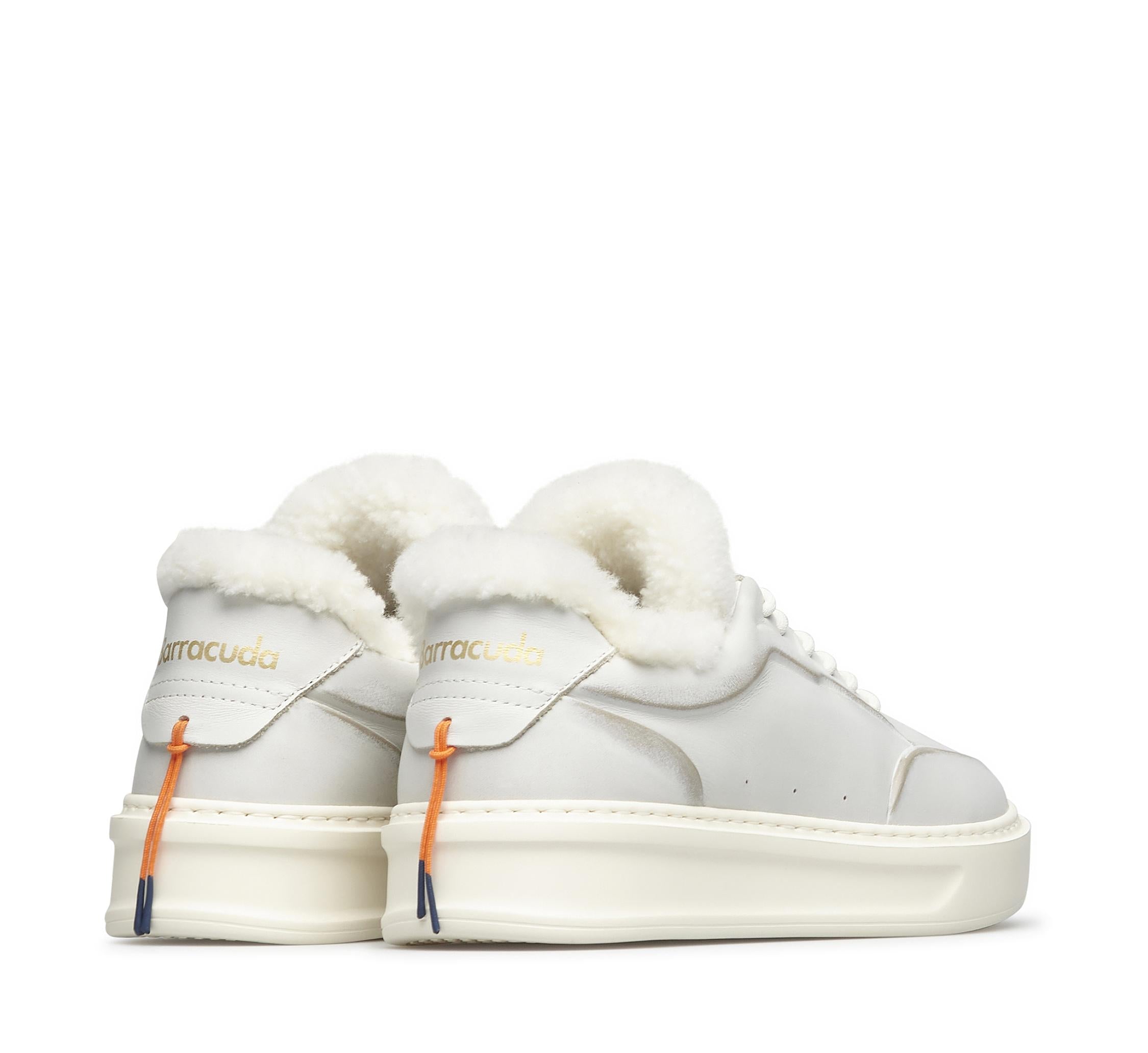 Phoenix BD1415 AM1PHN82P100 03_Barracuda