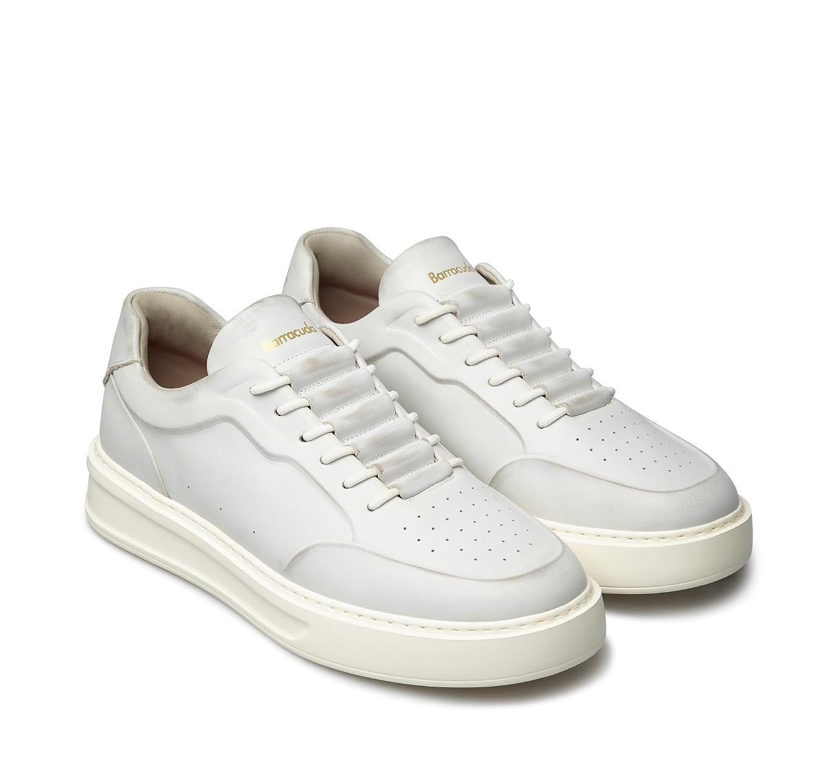 Phoenix BU3510 A00PHN82P100 03_Barracuda