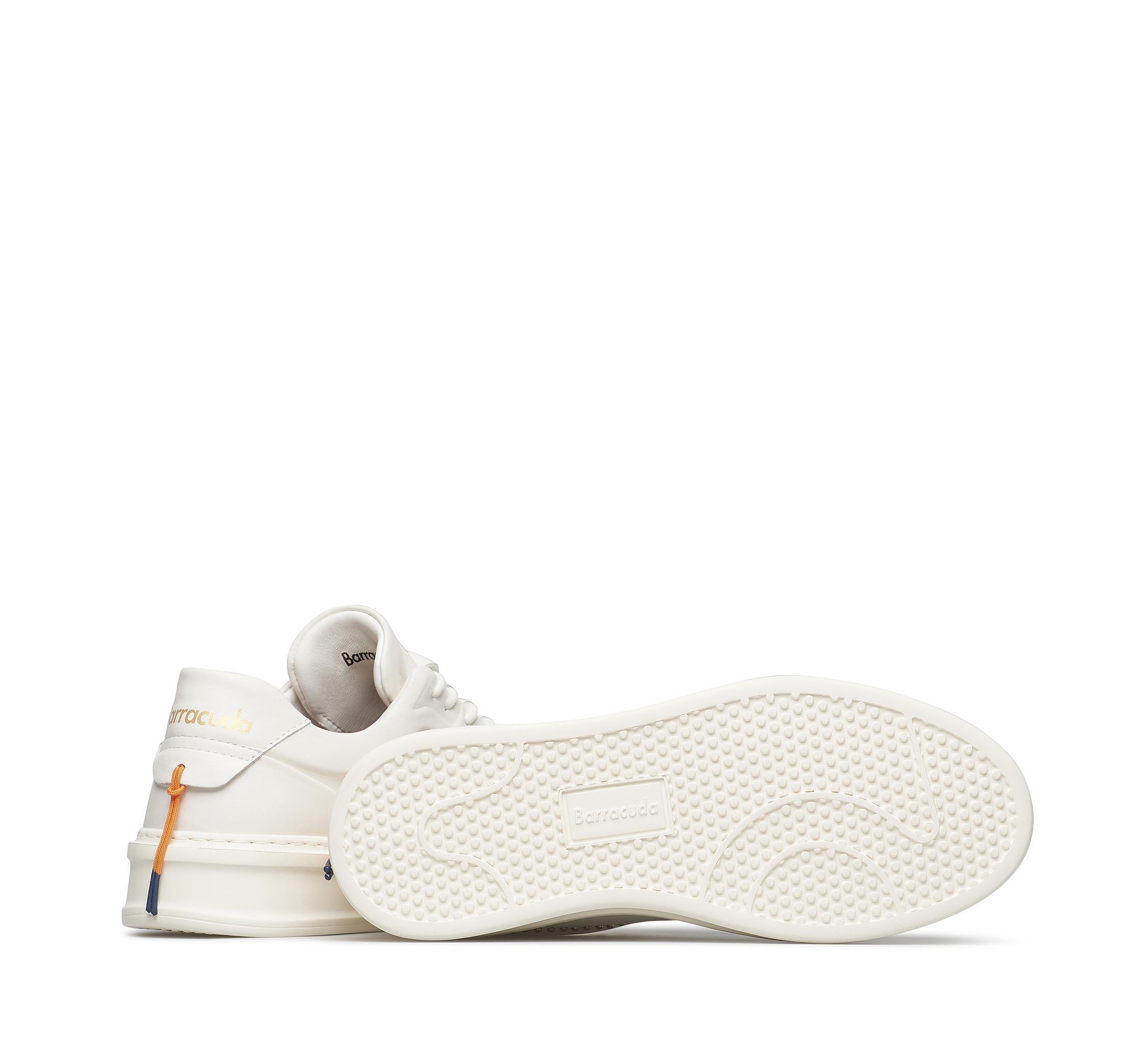 Phoenix BD1554 B00PHN34Q100 03_Barracuda