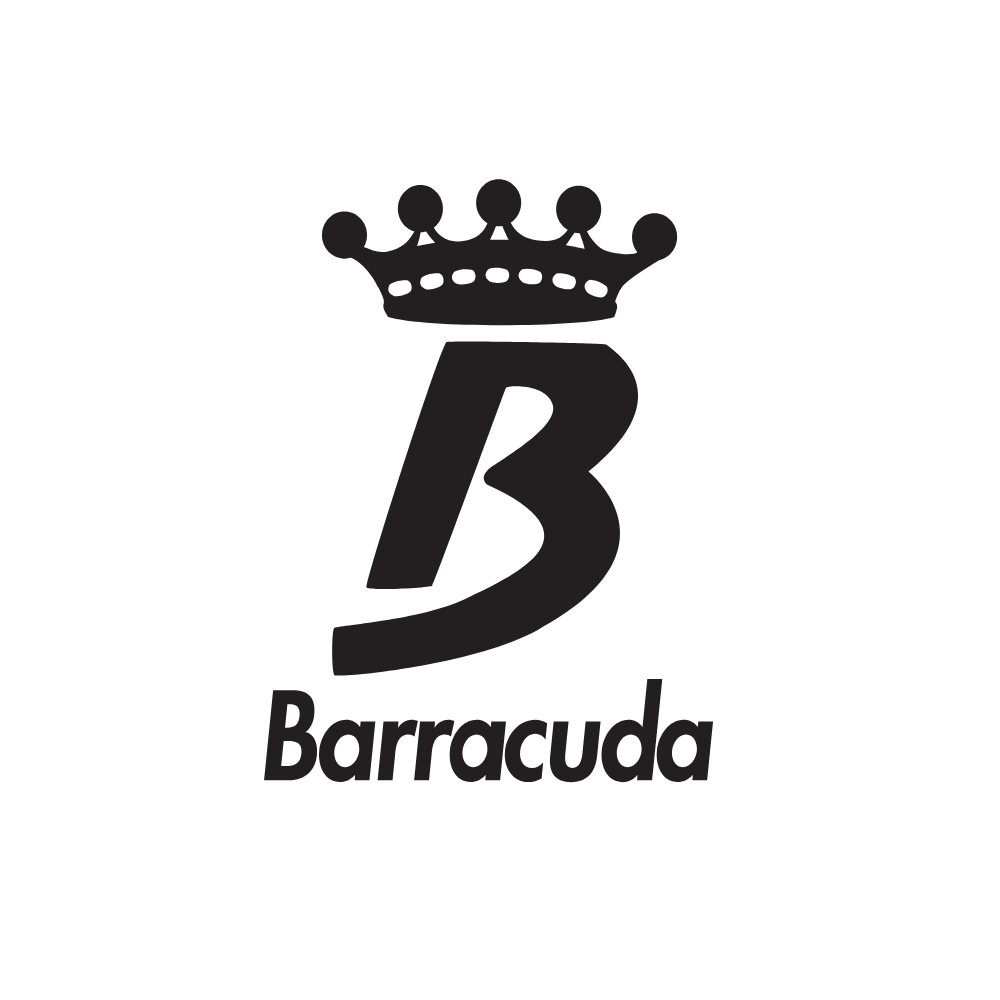 primo logo realizzato per Barracuda