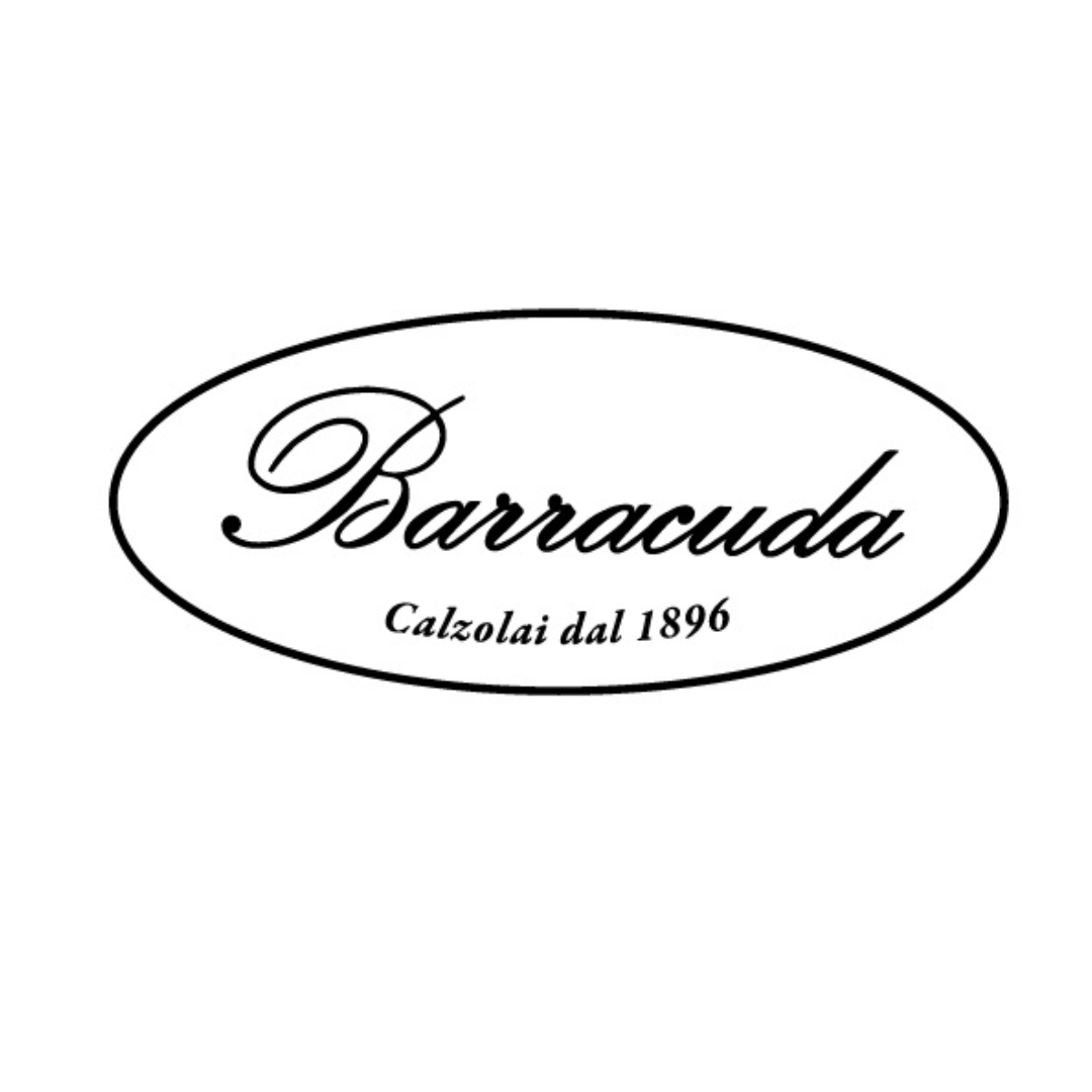 Secondo logo Barracuda realizzato nel 2003 con l'ingresso in Fabi