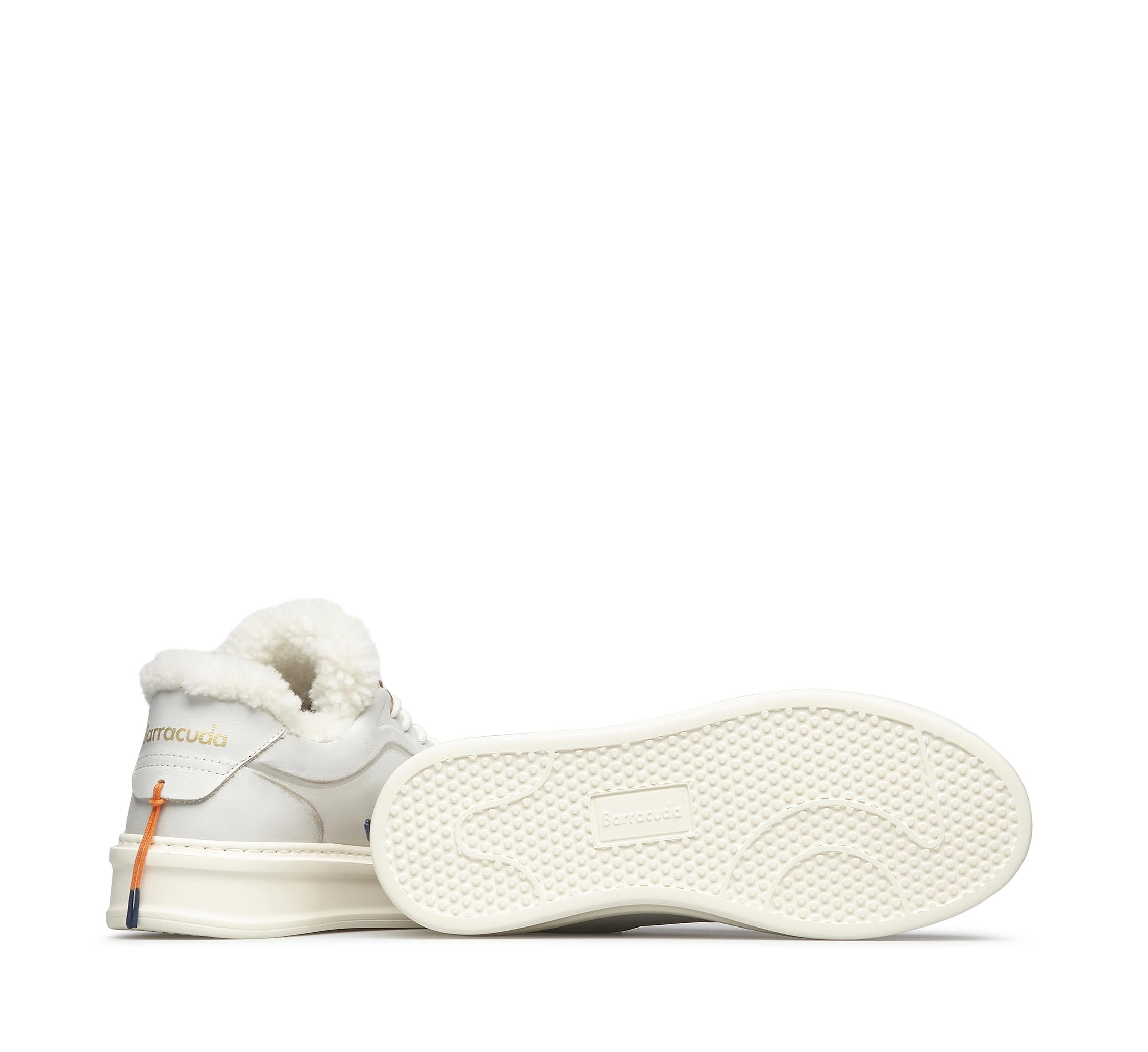 Phoenix BD1415 AM1PHN82P100 03_Barracuda 