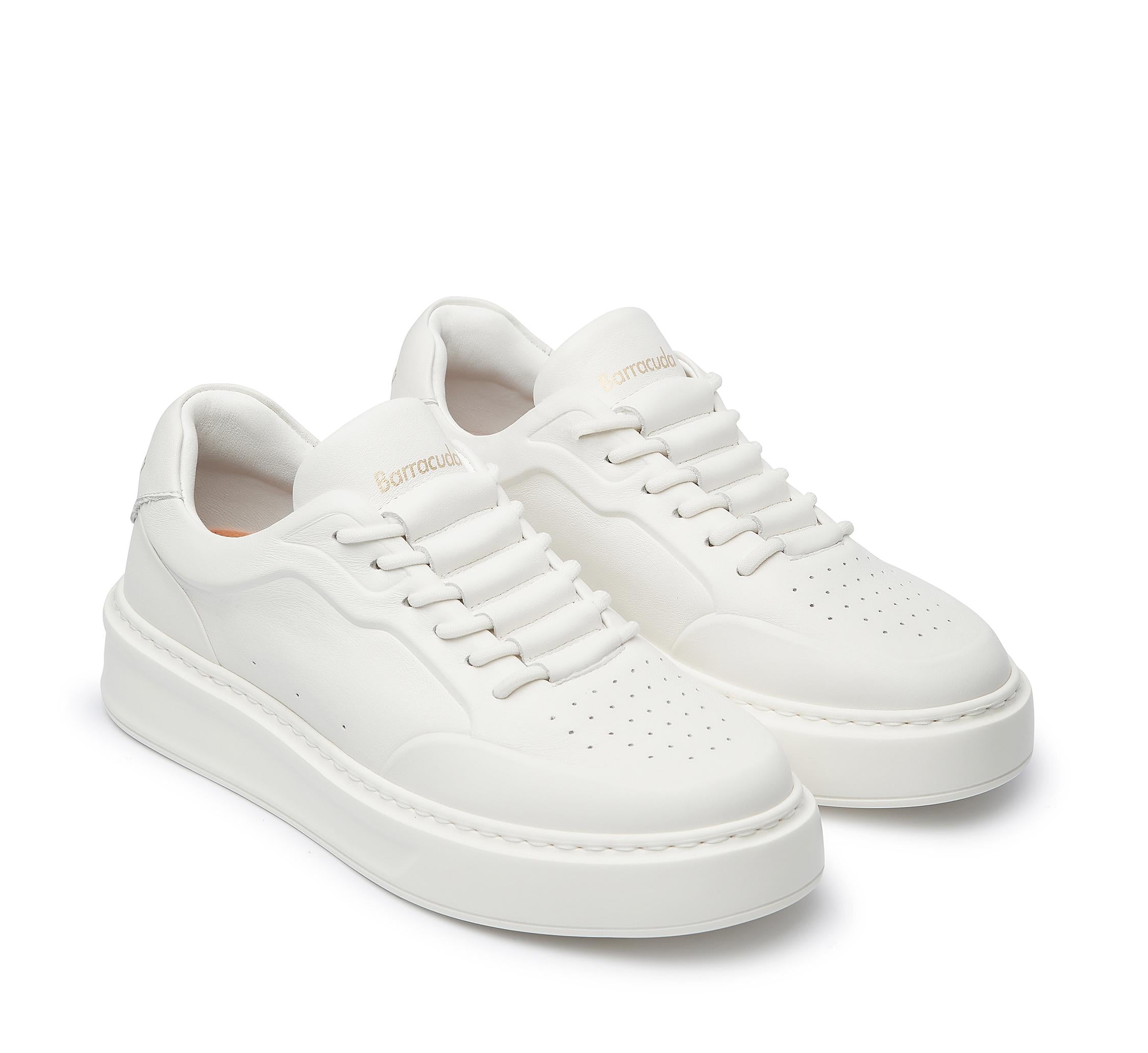 Phoenix BU3510 A00PHN63O35O 03_Barracuda 