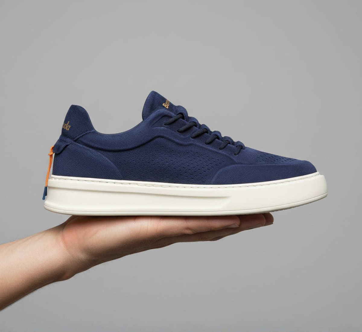 Phoenix BU3612 A00PHN78P602 03_Barracuda 