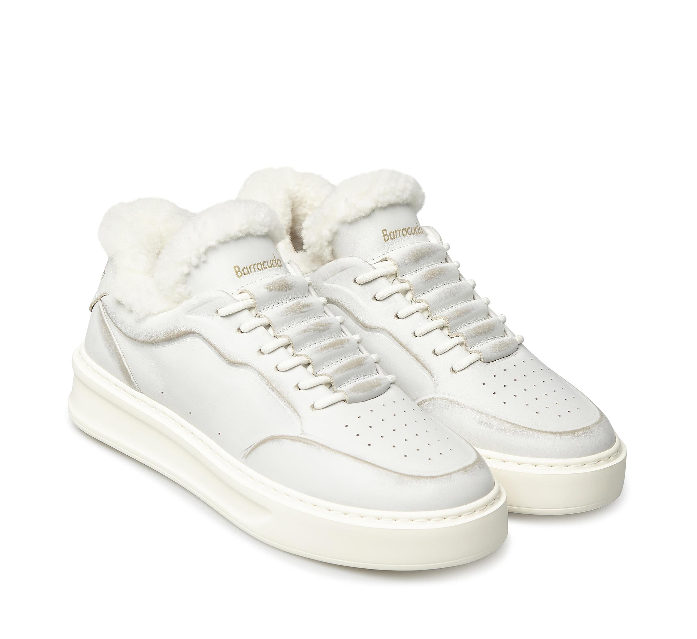 Phoenix BD1415 AM1PHN82P100 03_Barracuda 