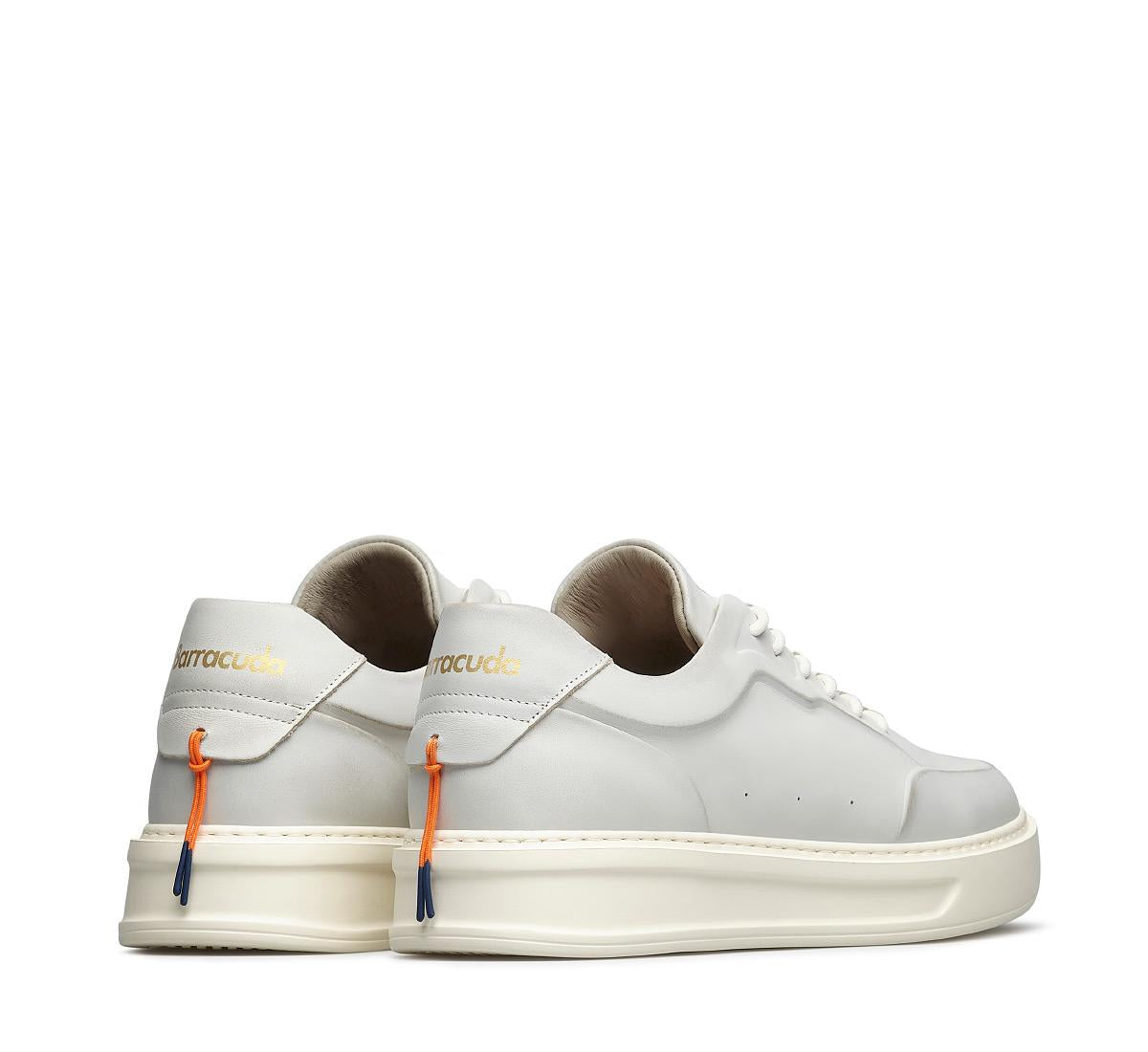 Phoenix BU3510 A00PHN82P100 03_Barracuda 